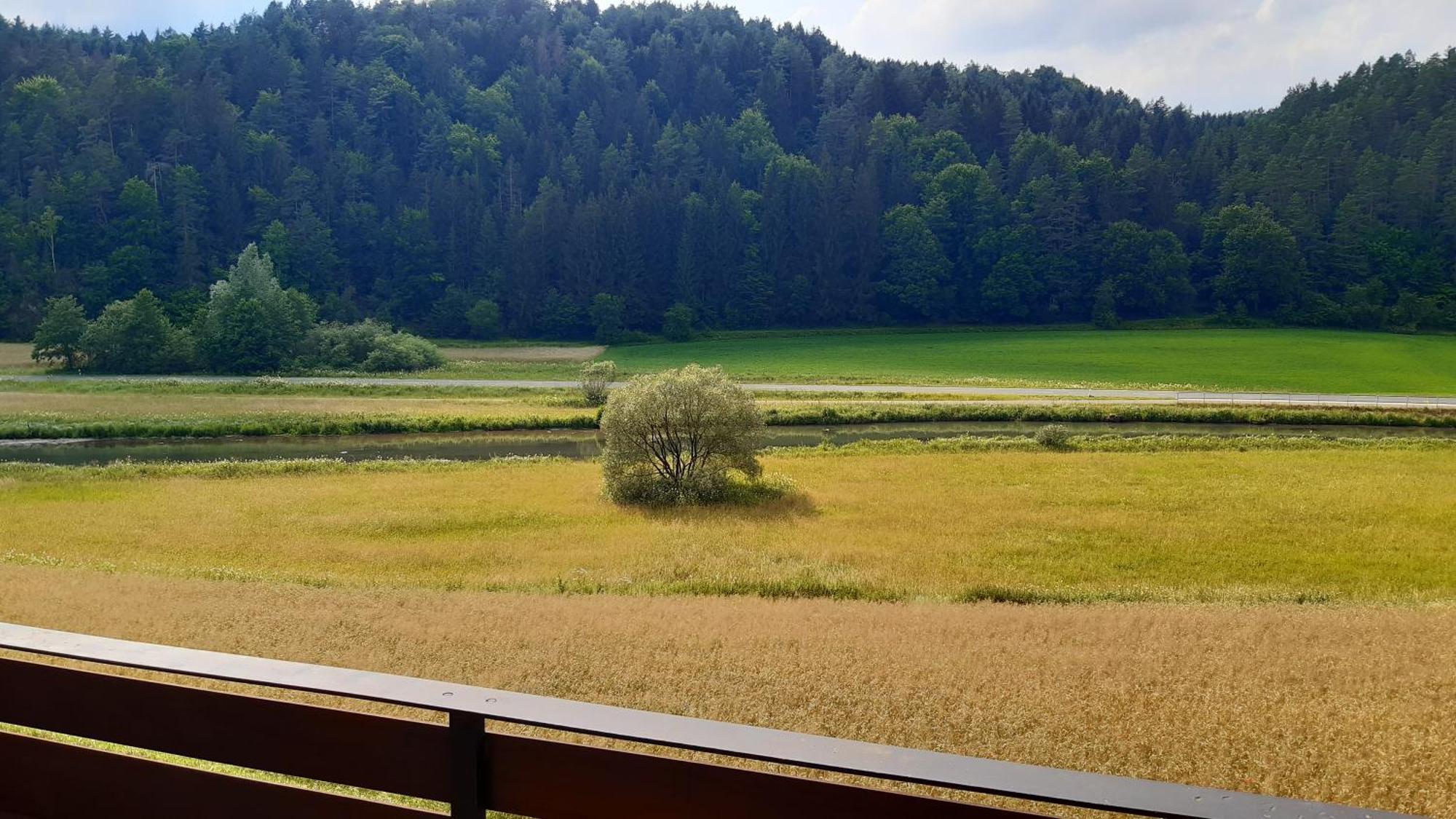 Waldpension Rabeneck Hotel Waischenfeld Exterior photo